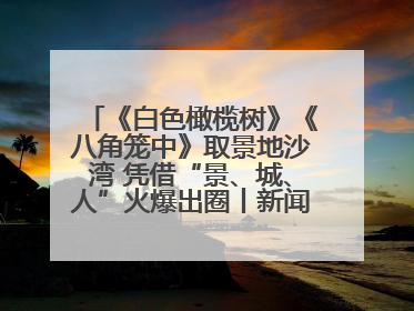 《白色橄榄树》《八角笼中》取景地沙湾 凭借“景、城、人”火爆出圈丨新闻发布最前线
