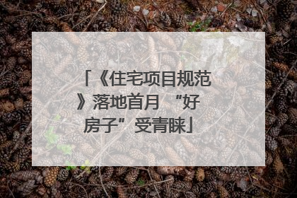 《住宅项目规范》落地首月 “好房子”受青睐
