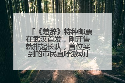 《楚辞》特种邮票在武汉首发，刚开售就排起长队，首位买到的市民直呼激动