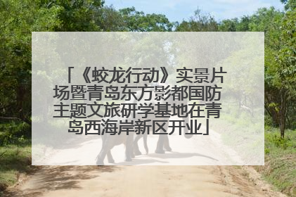 《蛟龙行动》实景片场暨青岛东方影都国防主题文旅研学基地在青岛西海岸新区开业