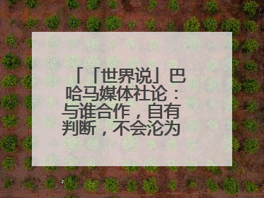 「世界说」巴哈马媒体社论：与谁合作，自有判断，不会沦为“权力游戏”