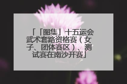 「图集」十五运会武术套路资格赛（女子、团体赛区）、测试赛在南沙开赛