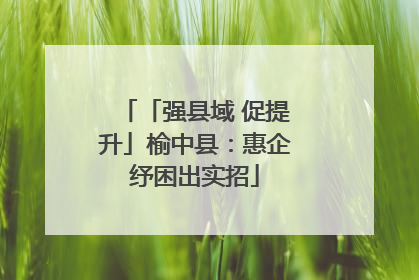「强县域 促提升」榆中县：惠企纾困出实招