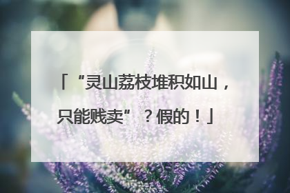“灵山荔枝堆积如山，只能贱卖”？假的！