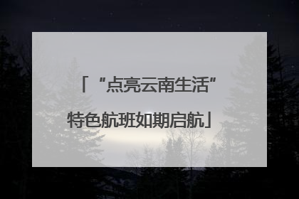 “点亮云南生活”特色航班如期启航
