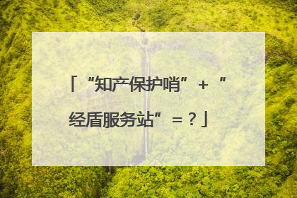 “知产保护哨”+“经盾服务站”=？