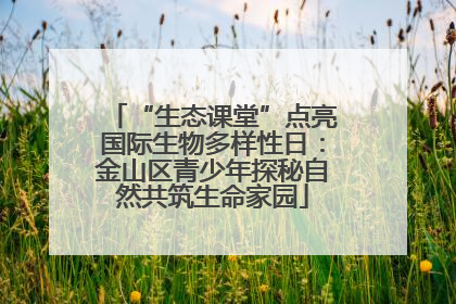 “生态课堂”点亮国际生物多样性日：金山区青少年探秘自然共筑生命家园