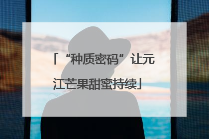“种质密码”让元江芒果甜蜜持续