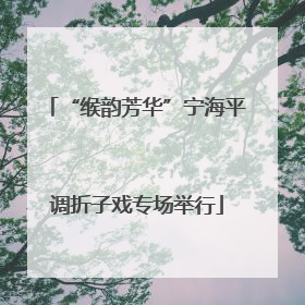 “缑韵芳华”宁海平调折子戏专场举行