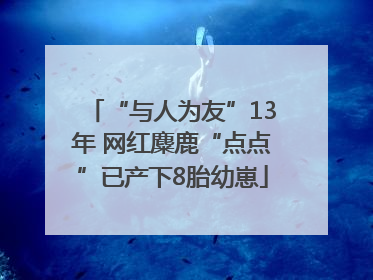 “与人为友”13年 网红麋鹿“点点”已产下8胎幼崽