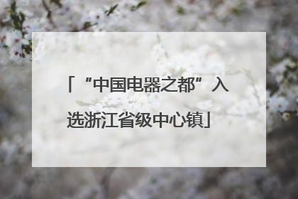 “中国电器之都”入选浙江省级中心镇