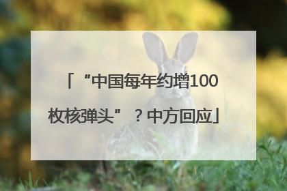 “中国每年约增100枚核弹头”？中方回应