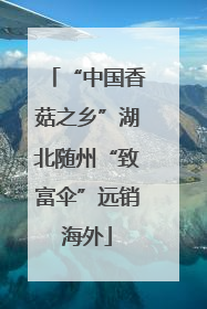 “中国香菇之乡”湖北随州“致富伞”远销海外