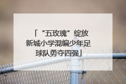 “五玫瑰”绽放 新城小学混编少年足球队勇夺四强