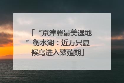 “京津冀最美湿地”衡水湖：近万只夏候鸟进入繁殖期