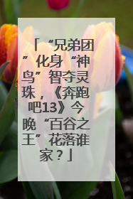 “兄弟团”化身“神鸟”智夺灵珠，《奔跑吧13》今晚“百谷之王”花落谁家？