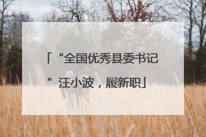 “全国优秀县委书记”汪小波，履新职