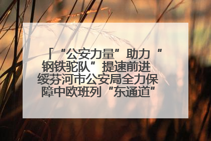 “公安力量”助力“钢铁驼队”提速前进 绥芬河市公安局全力保障中欧班列“东通道”绥芬河隧道贯通