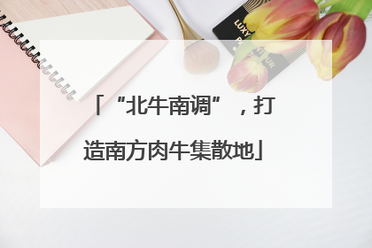 “北牛南调”，打造南方肉牛集散地
