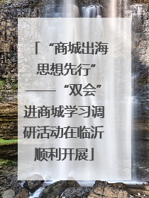 “商城出海 思想先行”——“双会”进商城学习调研活动在临沂顺利开展