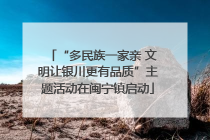 “多民族一家亲 文明让银川更有品质”主题活动在闽宁镇启动
