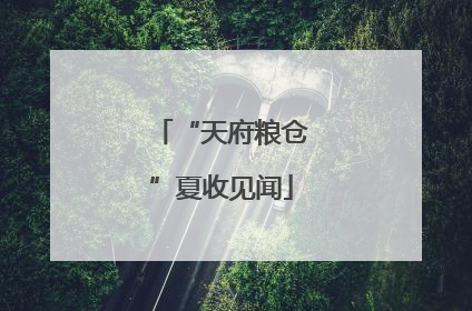 “天府粮仓”夏收见闻