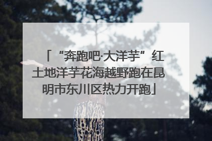“奔跑吧·大洋芋”红土地洋芋花海越野跑在昆明市东川区热力开跑