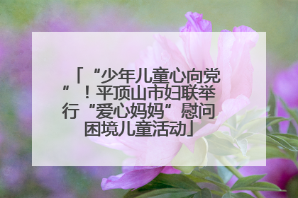 “少年儿童心向党”！平顶山市妇联举行“爱心妈妈”慰问困境儿童活动