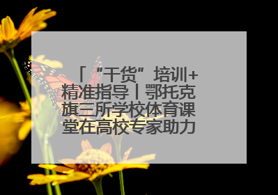 “干货”培训+精准指导丨鄂托克旗三所学校体育课堂在高校专家助力下“提质增效”