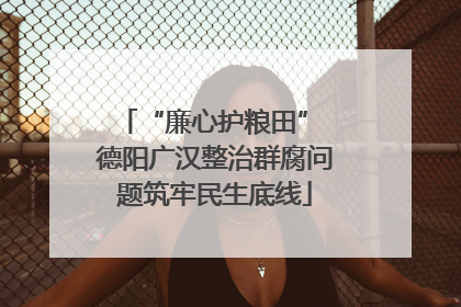 “廉心护粮田” 德阳广汉整治群腐问题筑牢民生底线