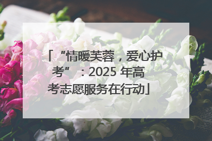 “情暖芙蓉，爱心护考”：2025 年高考志愿服务在行动