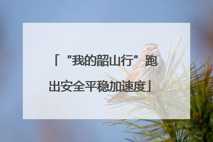 “我的韶山行”跑出安全平稳加速度