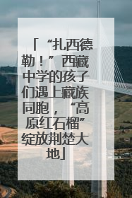 “扎西德勒！”西藏中学的孩子们遇上藏族同胞，“高原红石榴”绽放荆楚大地