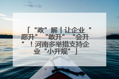 “政”解丨让企业“愿升”“敢升”“会升”！河南多举措支持企业“小升规”