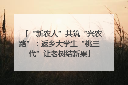 “新农人”共筑“兴农路”：返乡大学生“桃三代”让老树结新果