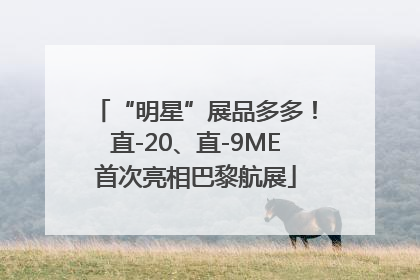 “明星”展品多多！直-20、直-9ME首次亮相巴黎航展