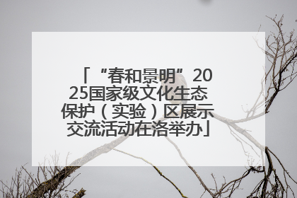 “春和景明”2025国家级文化生态保护（实验）区展示交流活动在洛举办