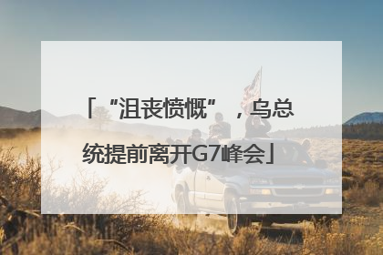 “沮丧愤慨”，乌总统提前离开G7峰会