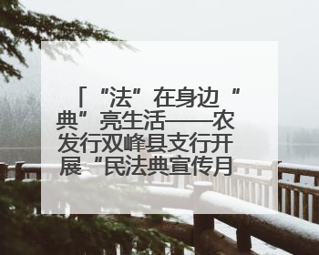 “法”在身边“典”亮生活——农发行双峰县支行开展“民法典宣传月”活动