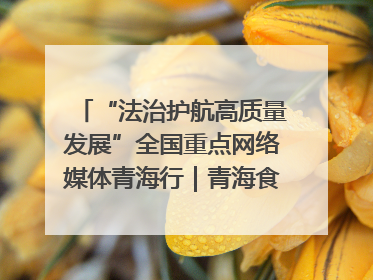 “法治护航高质量发展”全国重点网络媒体青海行｜青海食品工业协会：架起“青字号”美食的产业化桥梁