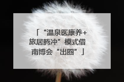 “温泉医康养+旅居腾冲”模式借南博会“出圈”