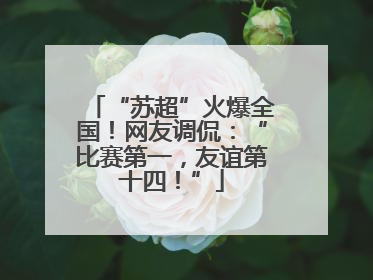 “苏超”火爆全国！网友调侃：“比赛第一，友谊第十四！”