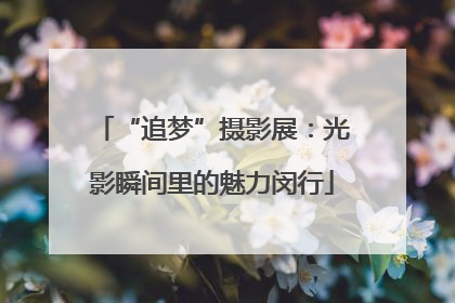 “追梦”摄影展：光影瞬间里的魅力闵行
