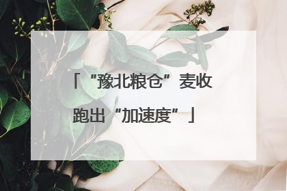 “豫北粮仓”麦收跑出“加速度”