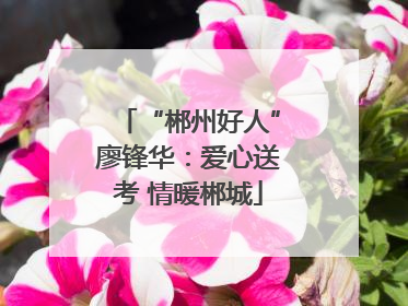 “郴州好人”廖锋华：爱心送考 情暖郴城