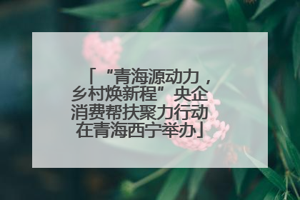 “青海源动力，乡村焕新程”央企消费帮扶聚力行动在青海西宁举办