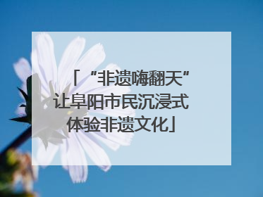 “非遗嗨翻天”让阜阳市民沉浸式体验非遗文化