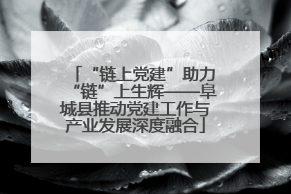 “链上党建”助力“链”上生辉——阜城县推动党建工作与产业发展深度融合