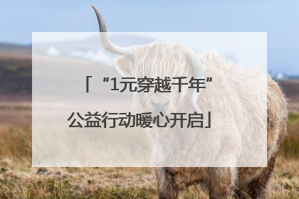 “1元穿越千年”公益行动暖心开启