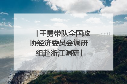 王勇带队全国政协经济委员会调研组赴浙江调研